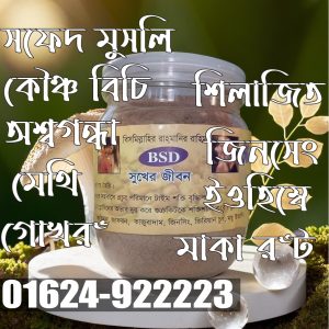 সুখের জীবন